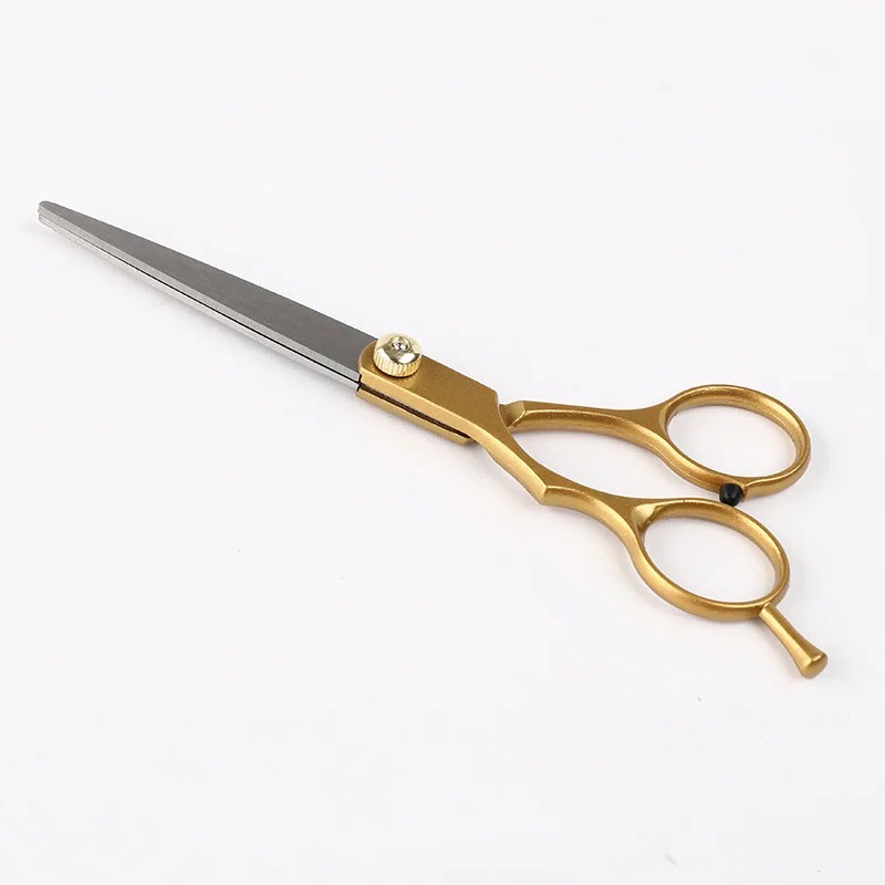 Barber & Thinning Scissors